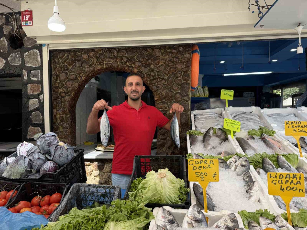 Iğdır'da balık sezonu açıldı, hamsinin kilosu 250-300 TL arasında değişiyor