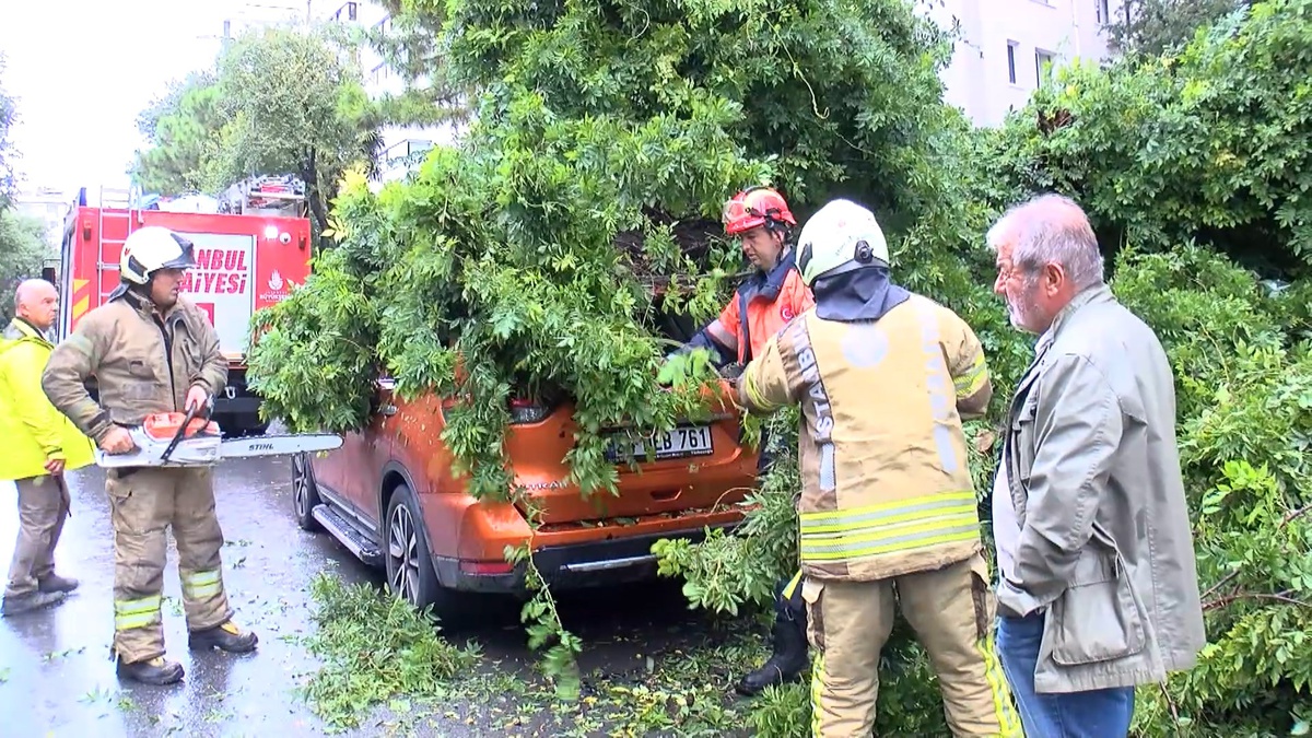 İstanbul Kadıköy'de kuvvetli rüzgar park halindeki otomobilin üzerine ağaç devirdi