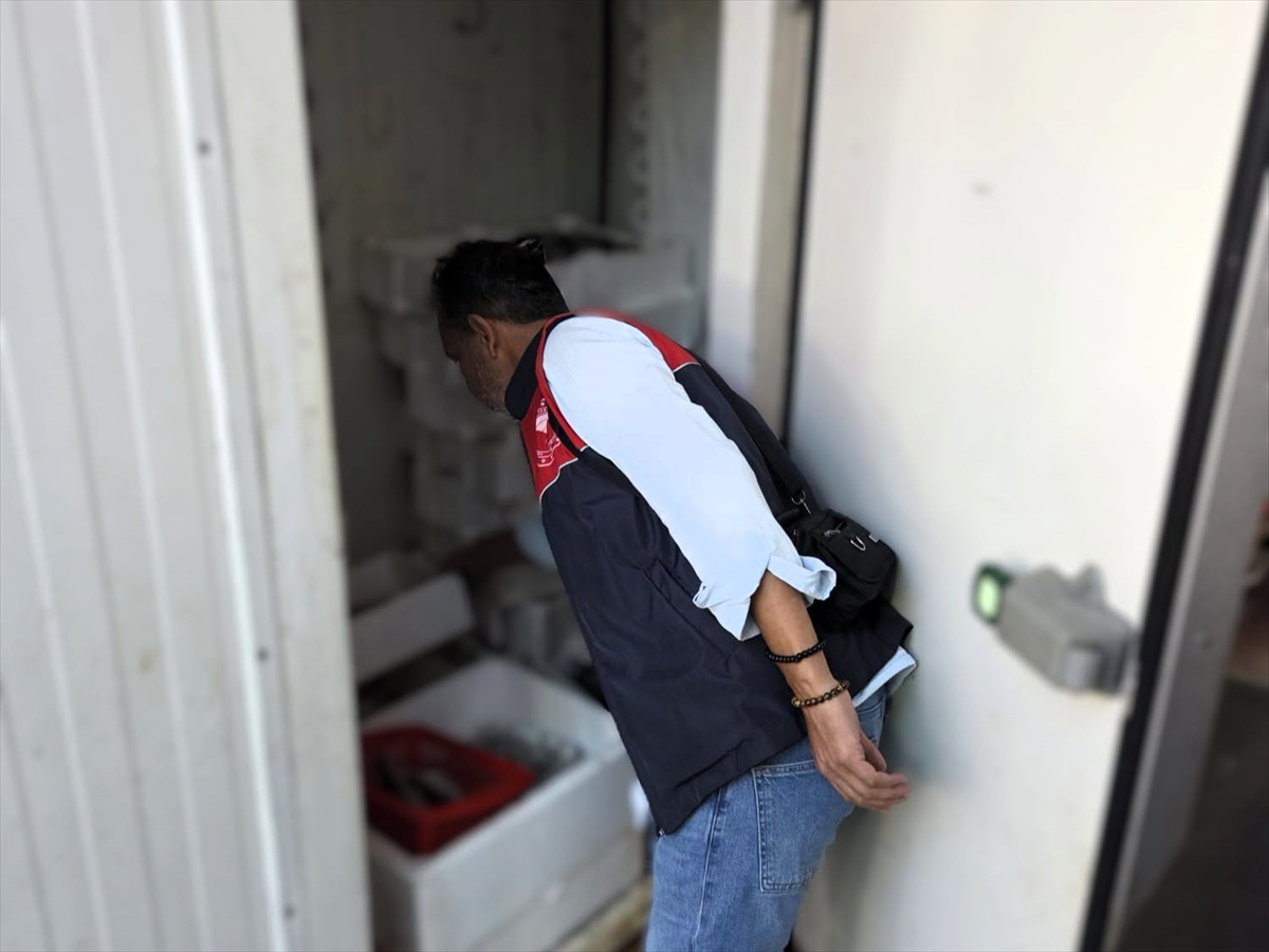 Kırklareli Lüleburgaz'da balık tezgahları denetlendi, ekipler olumsuzluk bulmadı