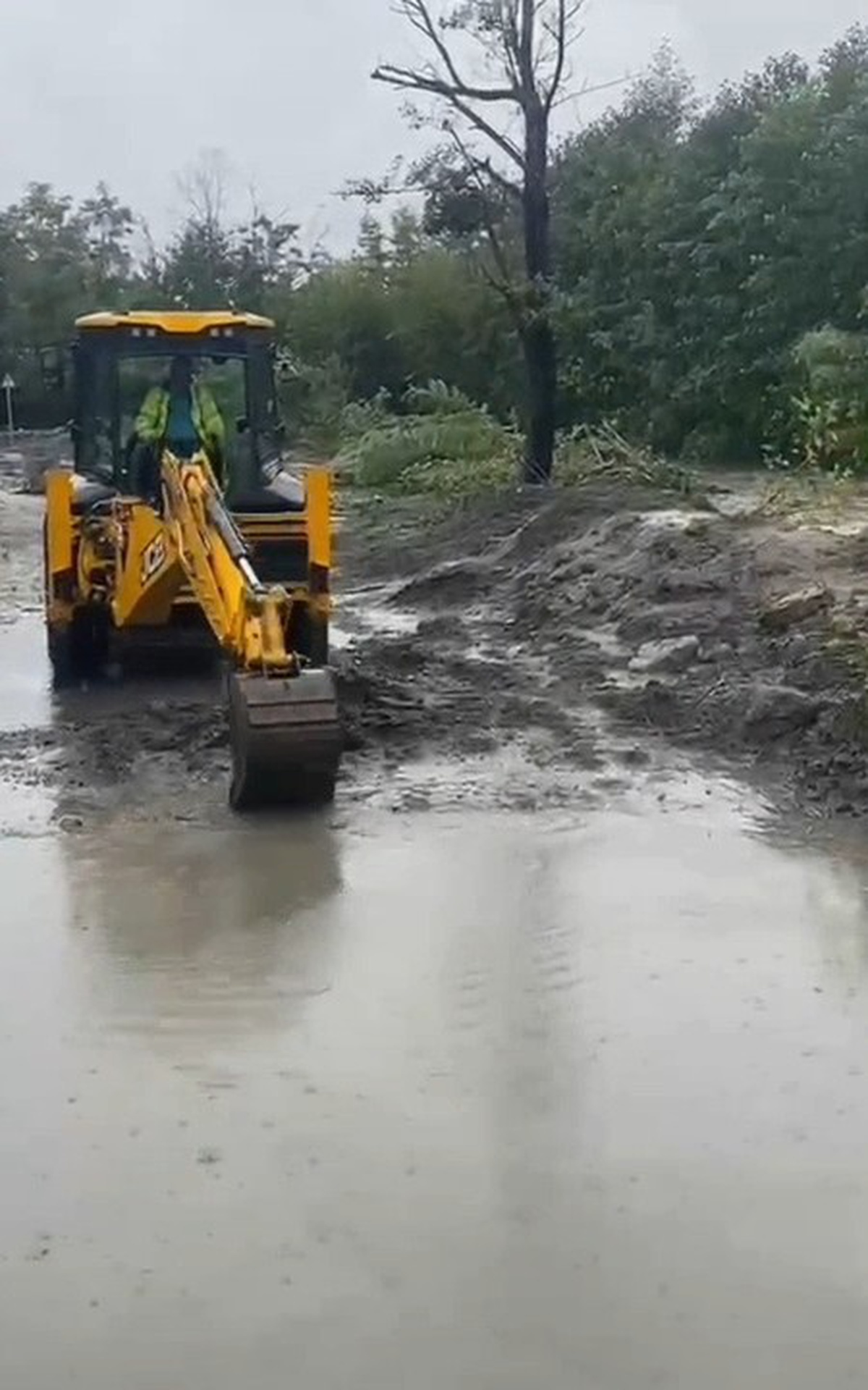 Sapanca'da sağanak dereleri taşırdı, bazı evleri su bastı; can kaybı olmadı