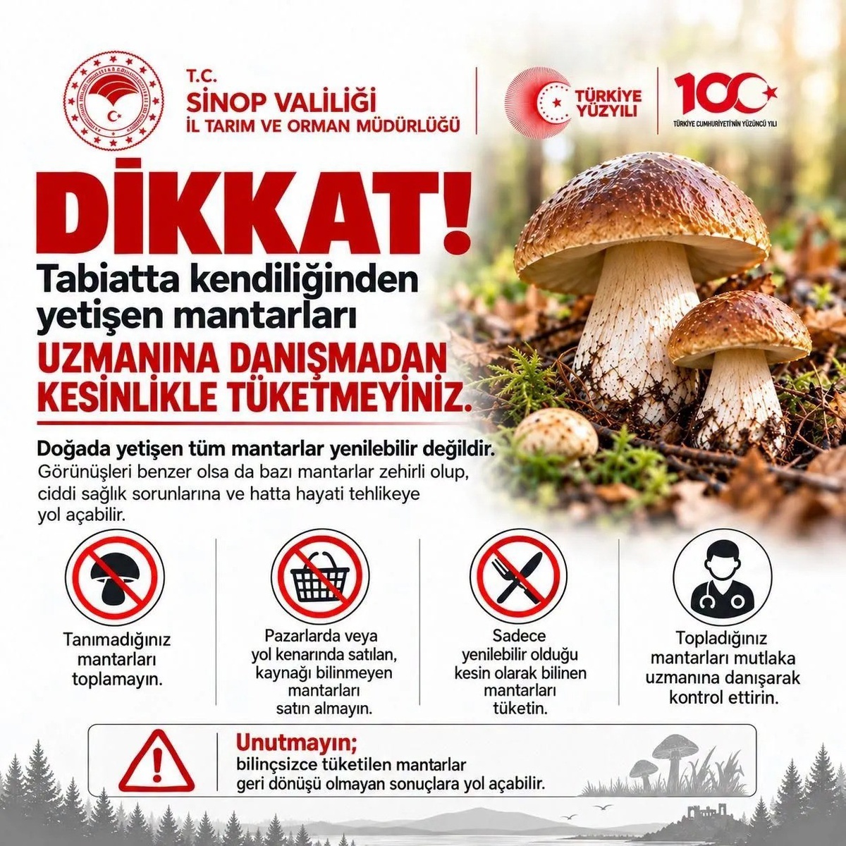 Sinop İl Tarım ve Orman Müdürlüğü doğa mantarlarındaki ölümcül riske karşı uyardı