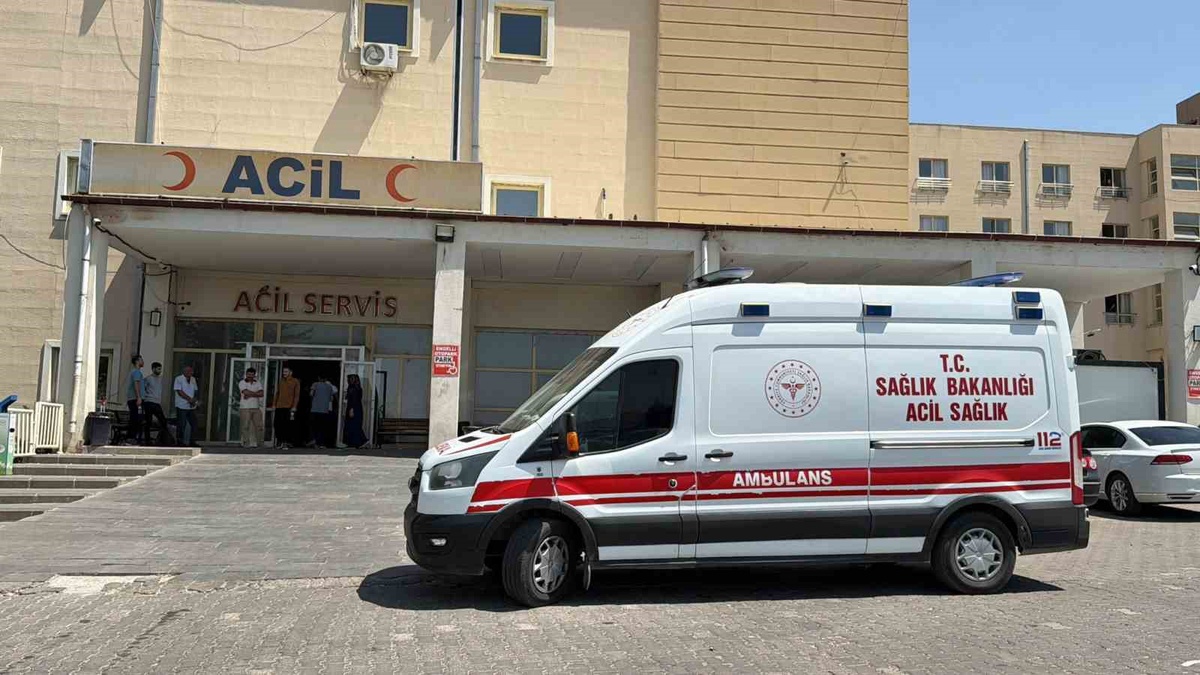 Siverek-Çermik karayolunda yoldan çıkan otomobilde 3 kişi yaralandı