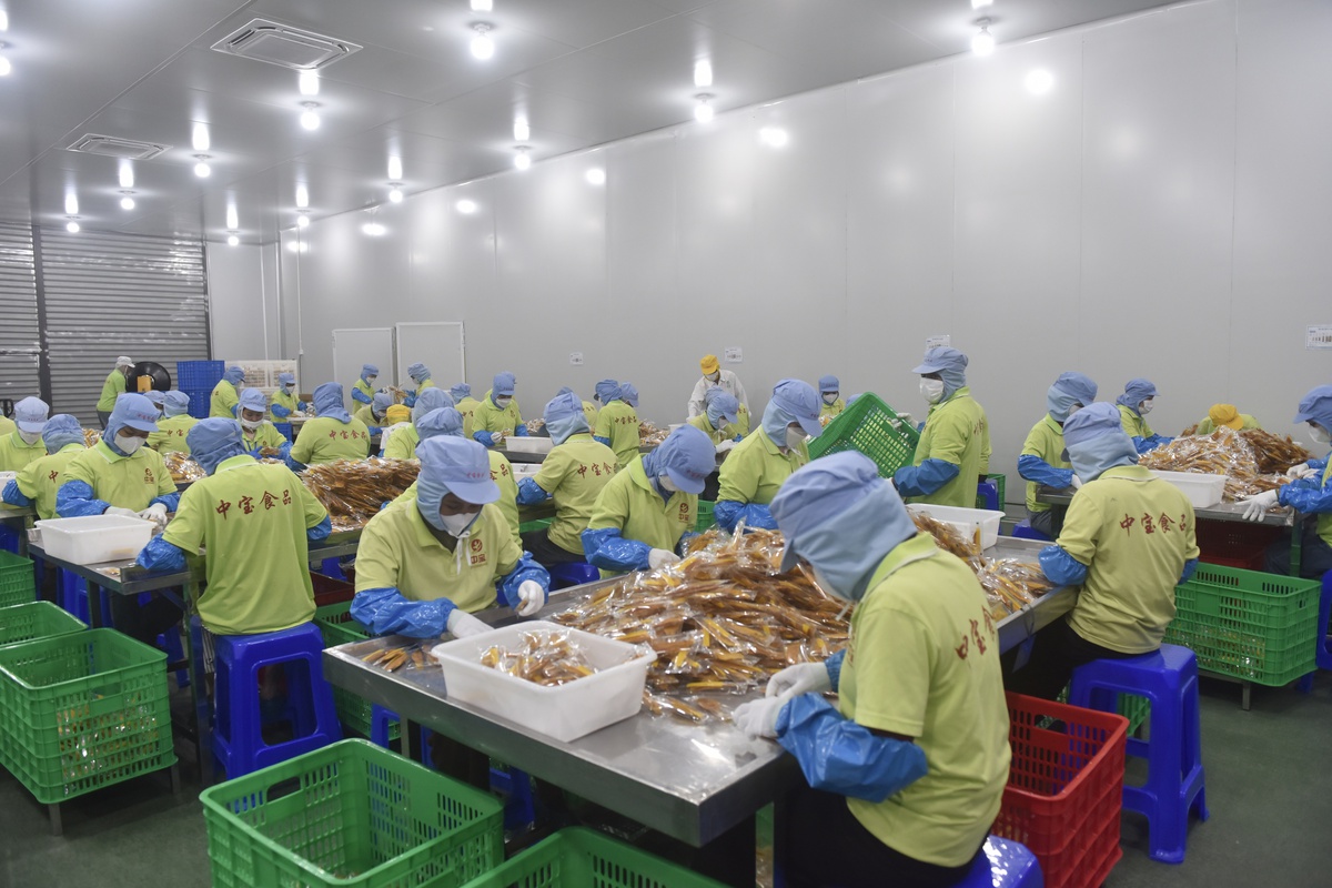 Zhong Bao, Çin'e 12.000 ton kurutulmuş mango ihraç etti, 2026 için kapasite artırıyor