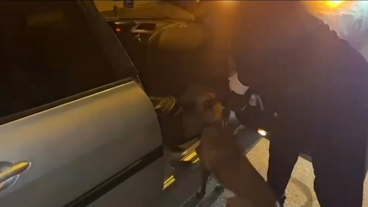 Gaziantep'te polis operasyonunda 1 kilo 50 gram sentetik kannabinoid ele geçirildi