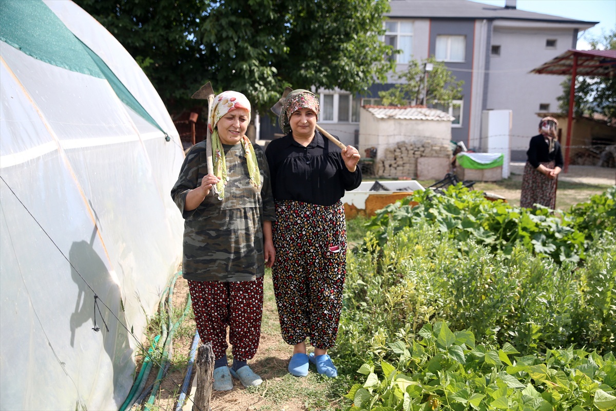 Kastamonu'da 120 kediye bakan kadın: Kanseri onlar sayesinde atlattığımı düşünüyorum