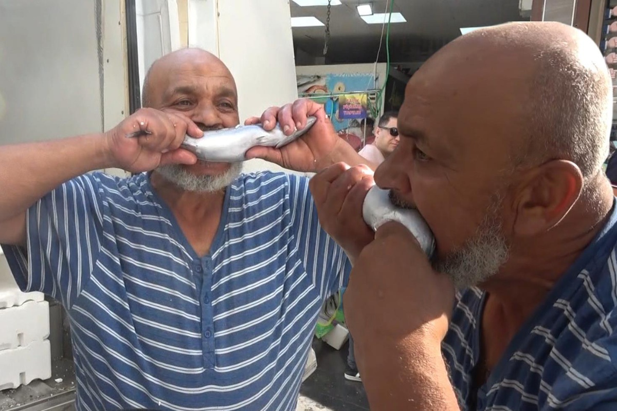 Kilis'te palamut 100 liraya düştü, balıkçı çiğ çiğ yedi