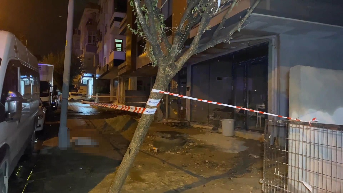 Küçükçekmece’de akıma kapılan köpeği kurtarmaya çalışan sahibi yaralandı, köpeği öldü