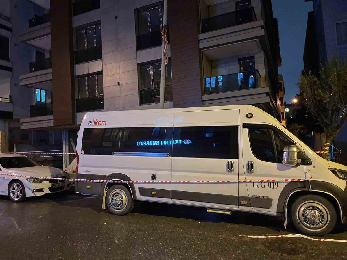 Küçükçekmece'de elektrik akımına kapılan köpek telef oldu, sahibi hafif yaralandı