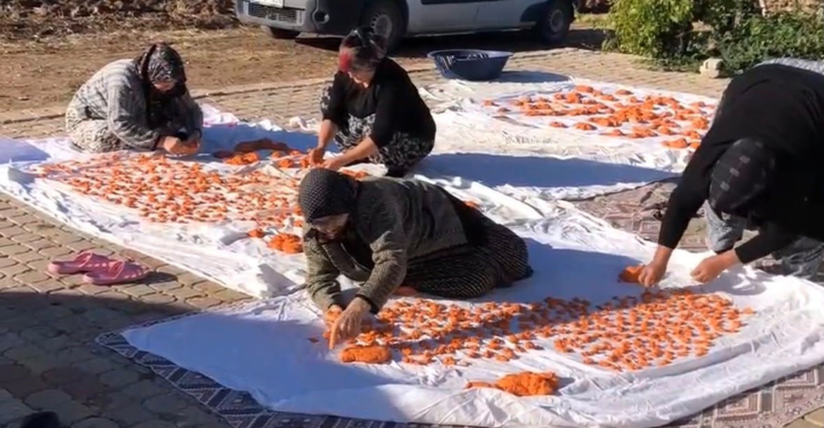 Kütahya Tavşanlı Kuruçay'da kadınlar imece usulüyle tarhana hazırladı