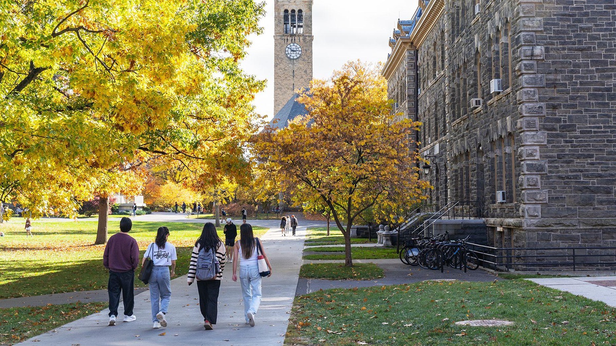 New York savcıları Cornell'deki toplu tecavüz iddiası soruşturmasını yeniden açacak