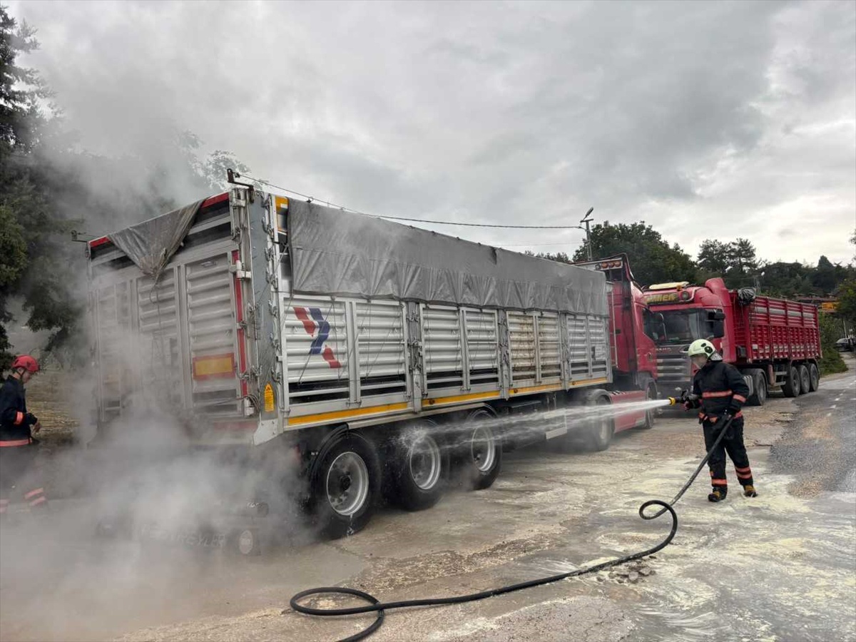 Sakarya Taraklı'da tırın balatasında çıkan yangın dorseye sıçramadan söndürüldü