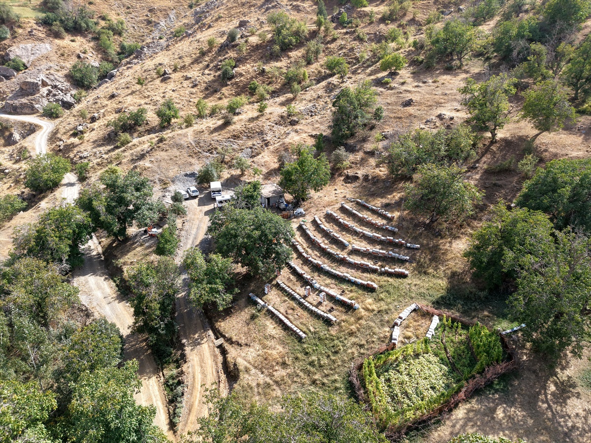 Van Bahçesaray'da arıcı, 28 yılda 650 kovana ulaştı, 3 ton bal bekliyor