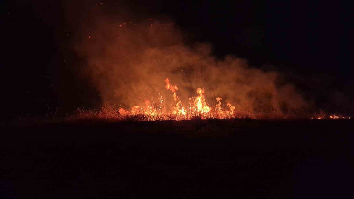 Adıyaman-Kahta kara yolunda çıkan anız yangınında çok sayıda ağaç zarar gördü