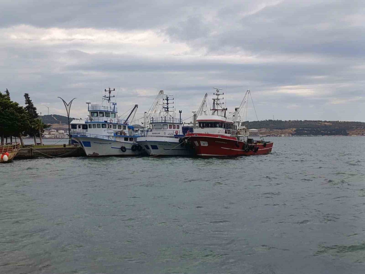 Aliağa'da şiddetli poyraz balıkçıların denize açılmasını engelledi