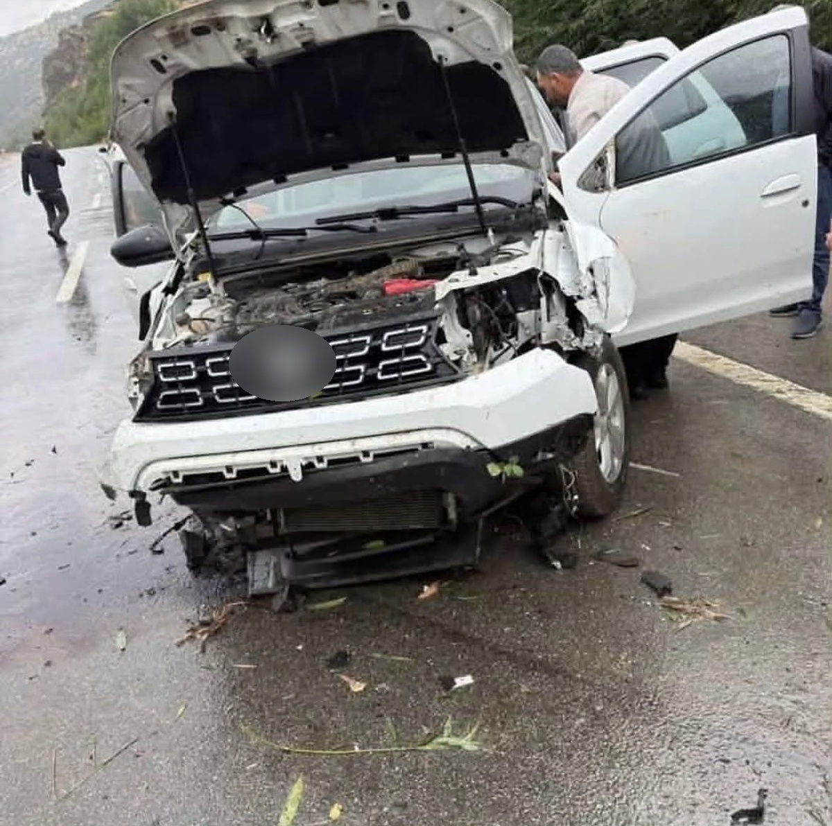 Bingöl'de otomobil Elmalı köyü mevkiinde tabelaya ve ağaca çarptı, 2 kişi yaralandı