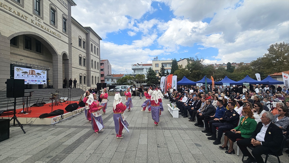 Eceabat'ta zeytinyağı festivali düzenlendi, zeytin alanı 19 bin 228 dekara çıktı