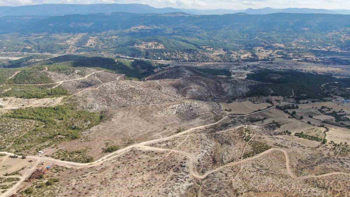 Kastamonu Araç'ta yangında zarar gören 2 bin 736 hektar alanda temizlik sürüyor