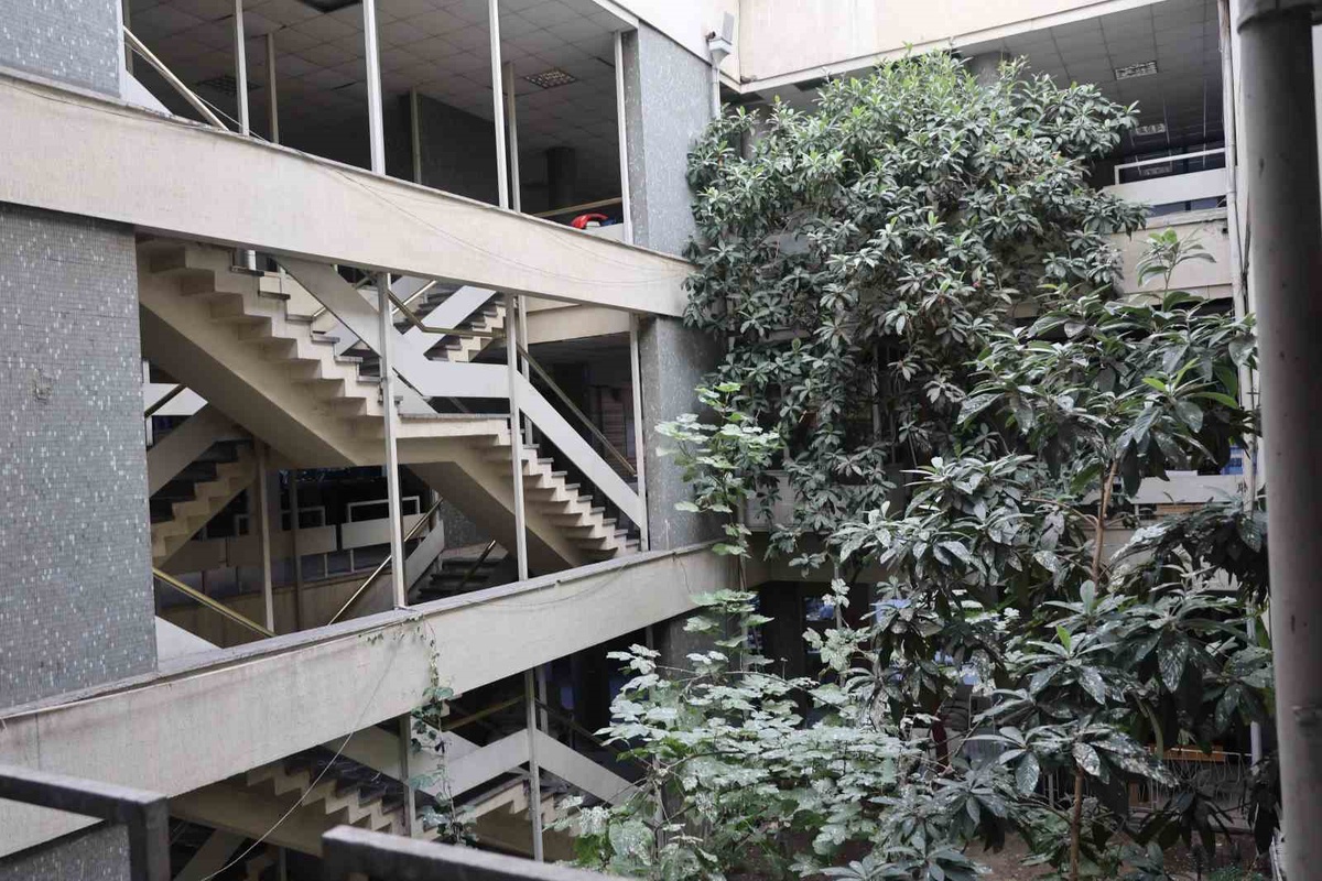 Konya'da 60 yıl önce açılan iş hanındaki yeni dünya ve incir ağaçları ilgi çekiyor