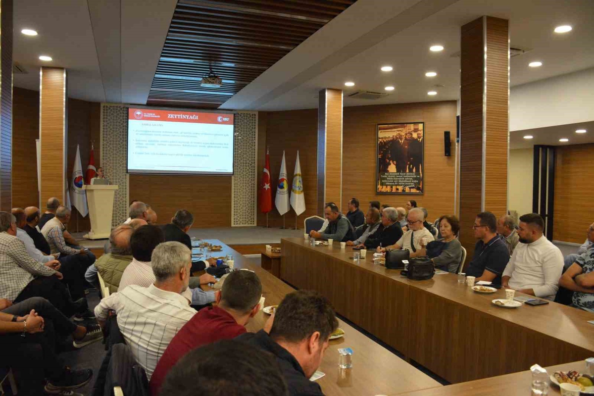 Manisa’da zeytin ağacı sayısı 2026’da 38 milyona ulaştı, rekor rekolte bekleniyor