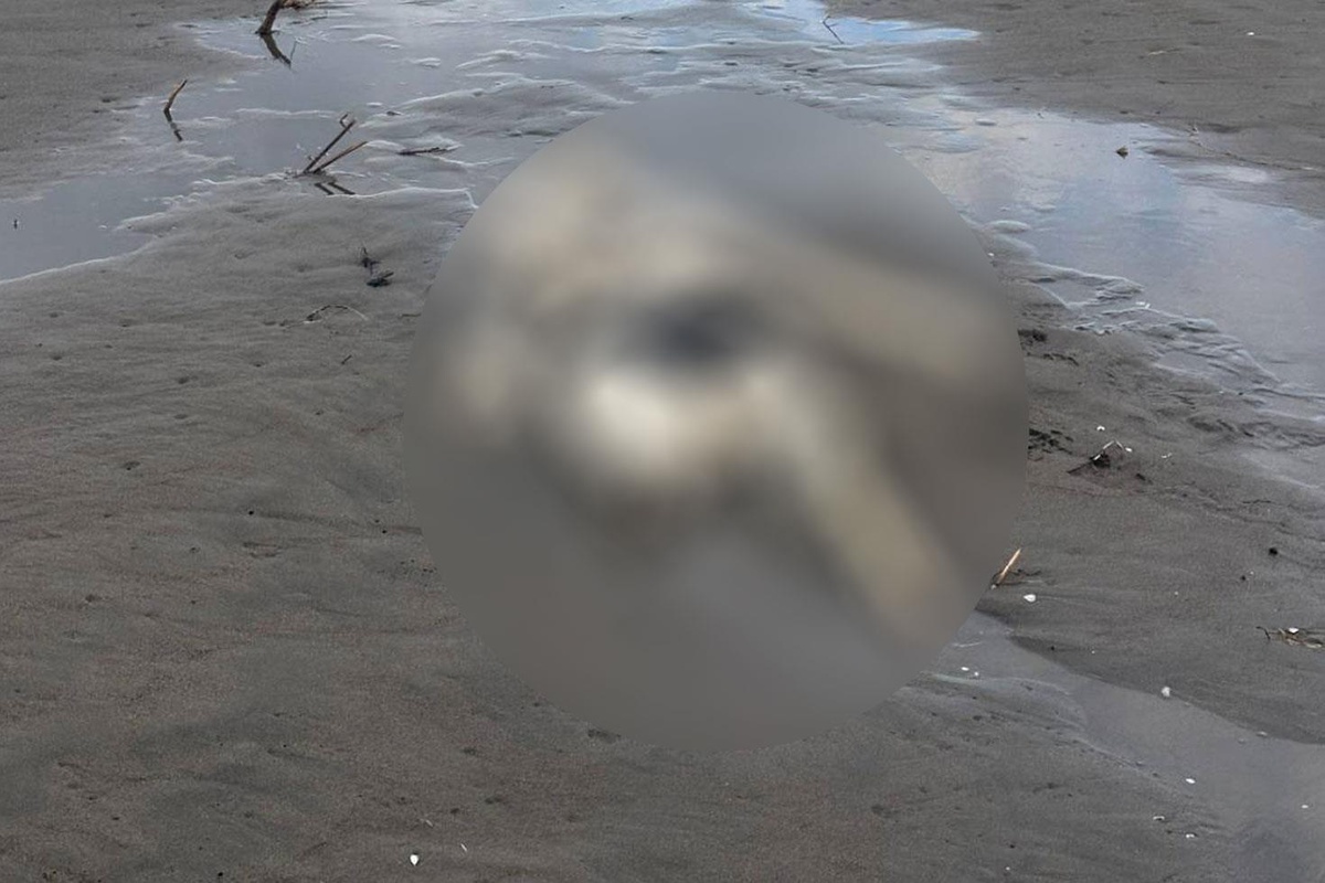 Samsun’da üzerinde mayoya benzer kıyafetle insan iskeleti bulundu