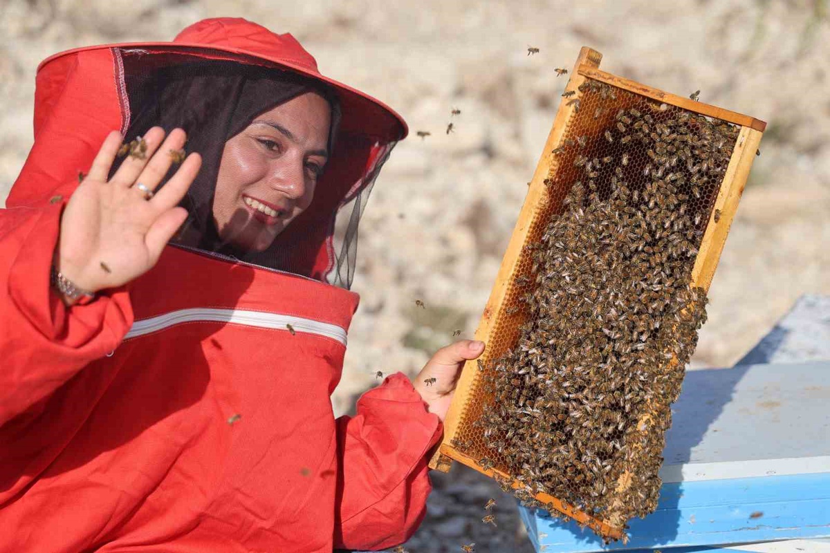 Adana Kozan'da 22 yaşındaki Latife Gül Kaplan, 250 kovandan bine ulaştı