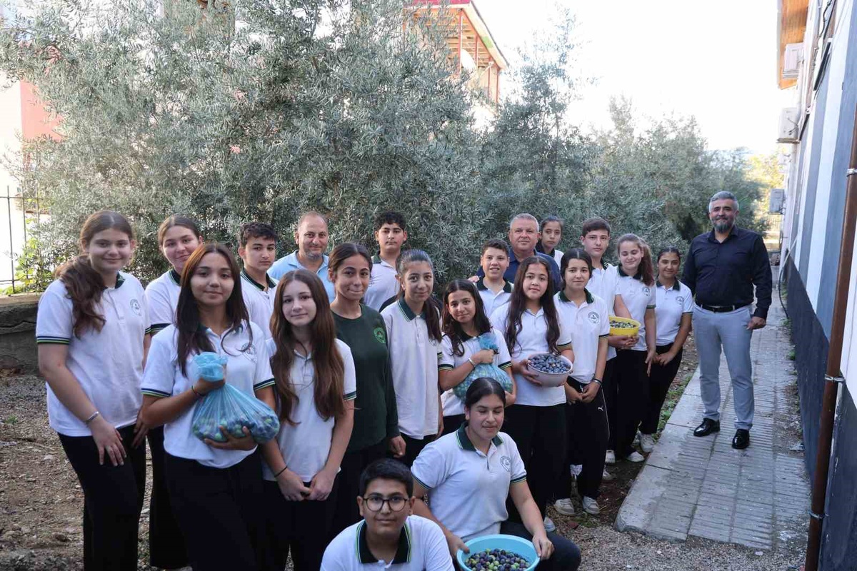 Adana Kozan'da öğrenciler 1. sınıfta diktikleri zeytini 8. sınıfta hasat etti