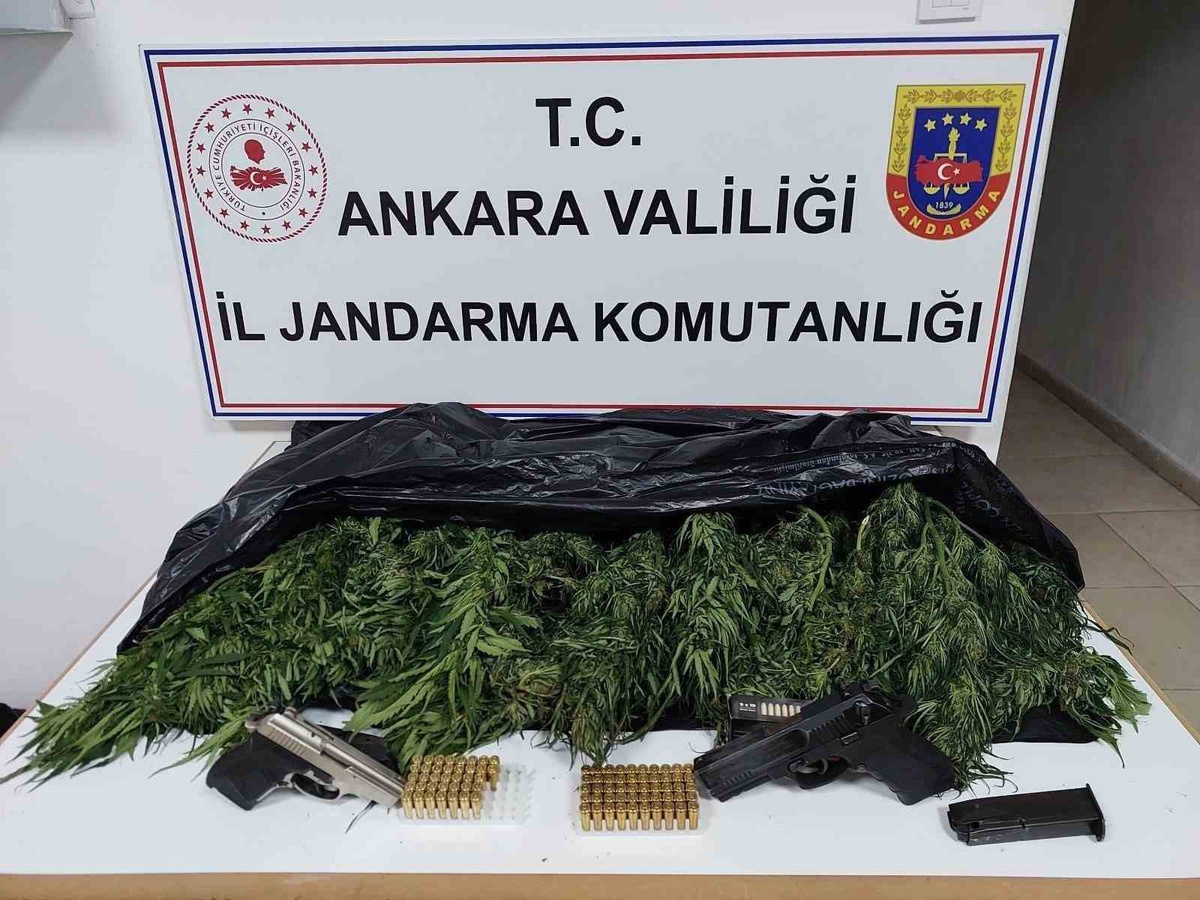 Ankara Elmadağ'da 1 şüpheli gözaltına alındı, 2 kilo 600 gram skunk ele geçirildi