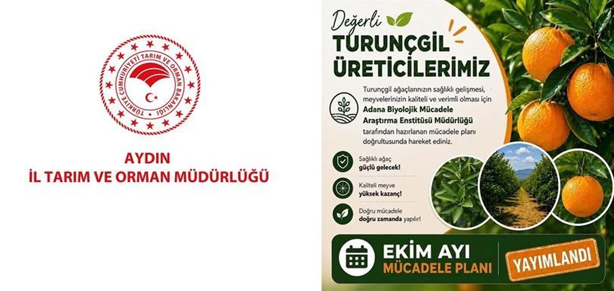Aydın Tarım ve Orman Müdürlüğü, turunçgil üreticilerini Ekim ayı mücadelesine uyardı