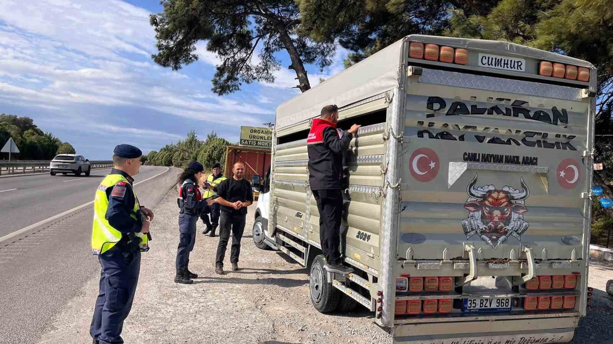 Balıkesir'de canlı hayvan nakil araçları Tarım ve Orman ekiplerince denetlendi