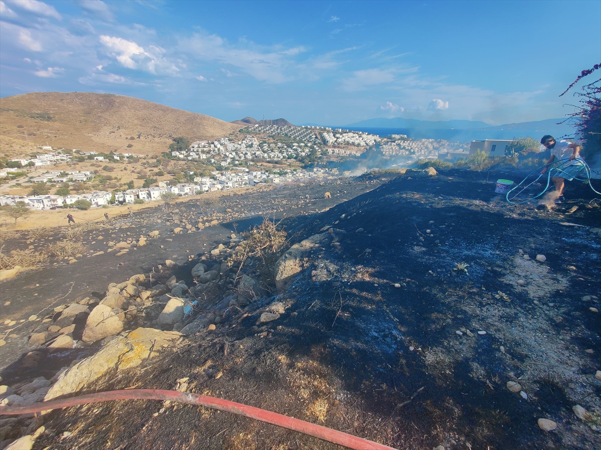 Bodrum Akyarlar'da makilik alandaki yangın itfaiyenin müdahalesiyle söndürüldü