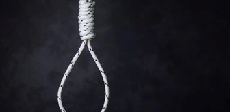 Cezayir, orman yangını çıkaranlara idam cezası getirmeye hazırlanıyor