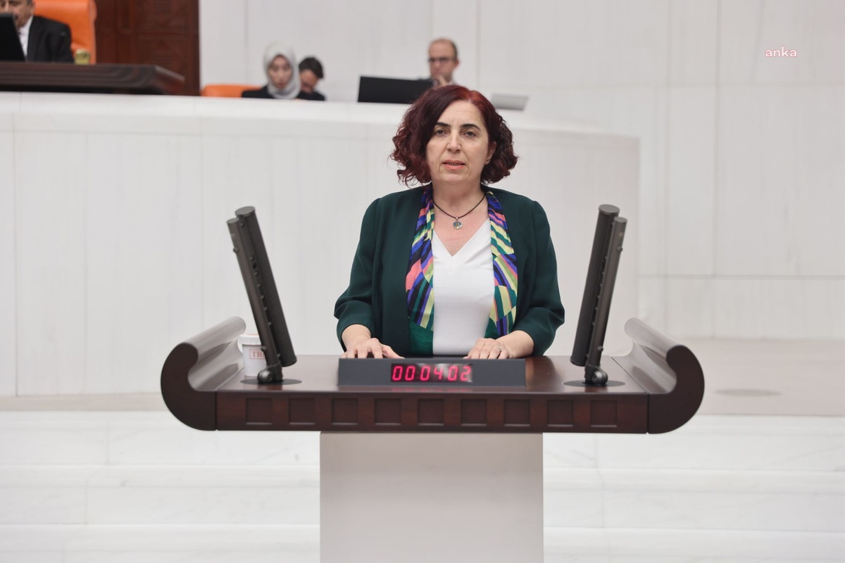 DEM Partili Çelenk, Cansu Badur'un Afganistan'da alıkonulmasını Meclis'e taşıdı