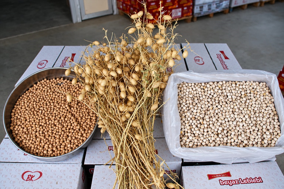 Denizli Ticaret Borsası'nın Borsa-20 nohudundan Serinhisar'da leblebi üretimi başladı