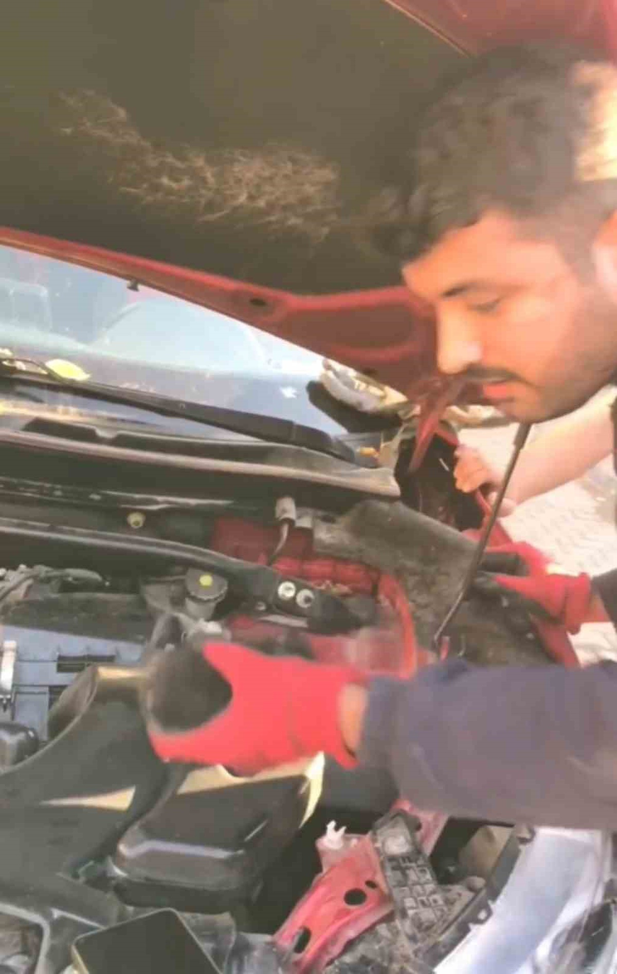 Dicle Üniversitesi lojmanlarında motora sıkışan 3 yavru kediyi itfaiye kurtardı