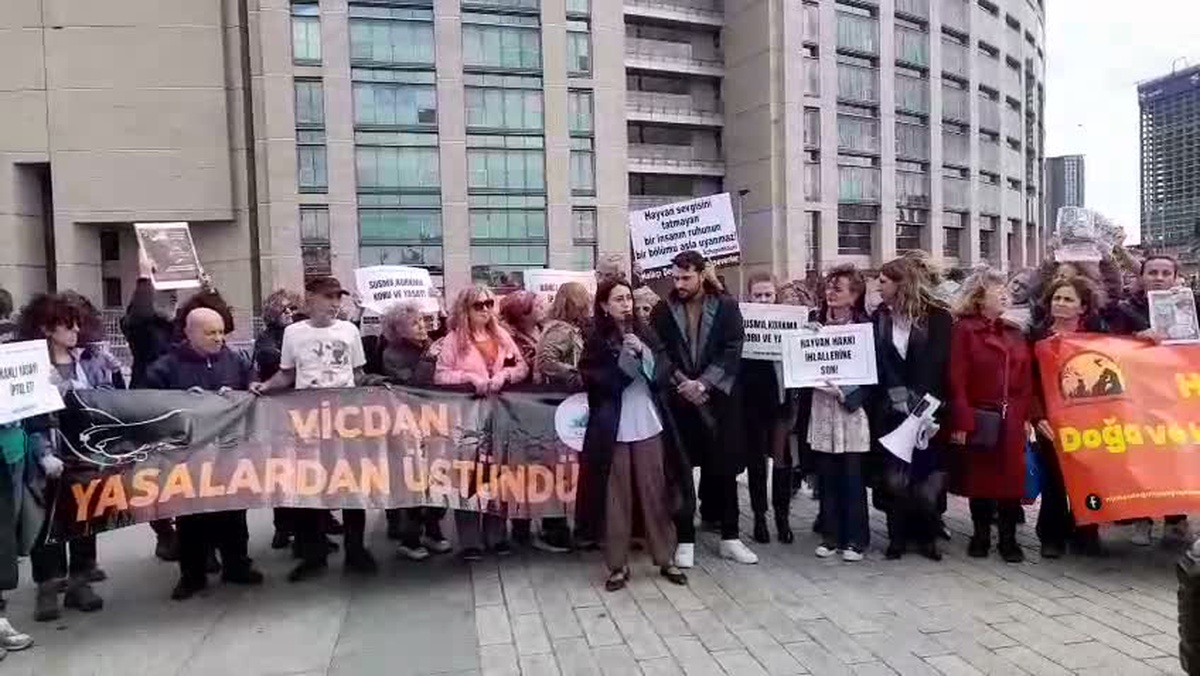 Hayvan hakları savunucuları 75 imzayla Cenevre Hayvan Hakları Mahkemesi'ne başvurdu