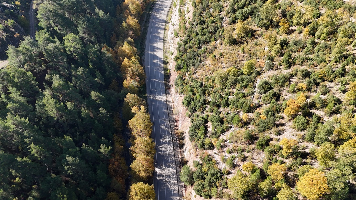 Isparta'nın dört ilçesindeki yaylalar sonbaharla sarı ve kızıl tonlara büründü
