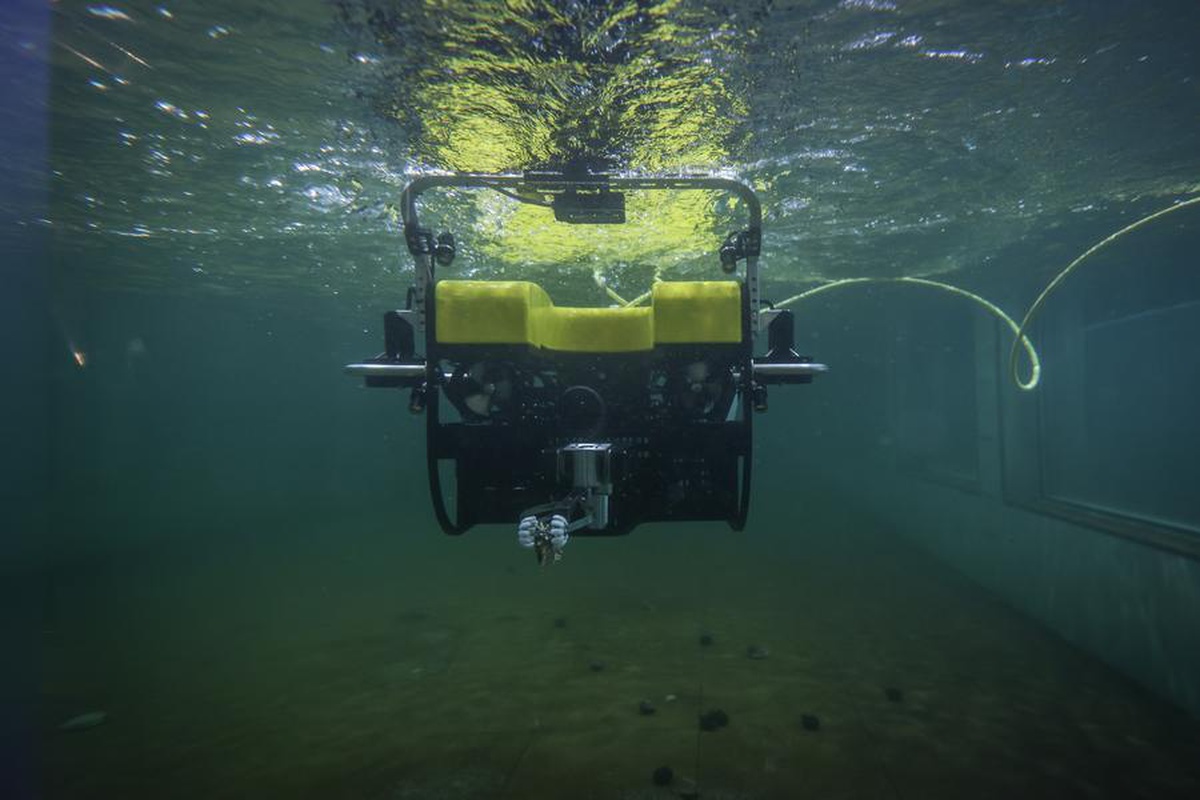 Kasım 2020'de kurulan Liaoning Sualtı Robot Merkezi 10'dan fazla model geliştirdi