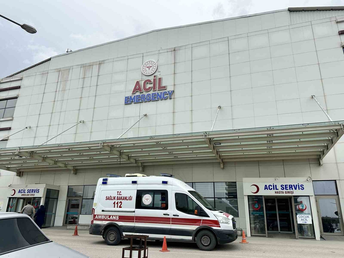 Kastamonu'da ormandan toplanan mantar 30 kişiyi hastanelik etti! Hepsi tedavi altında