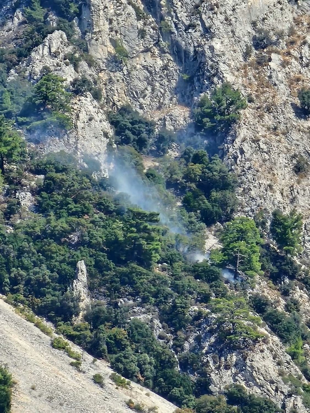 Muğla Ula Sakar'daki makilik yangın ekiplerin müdahalesiyle kontrol altına alındı