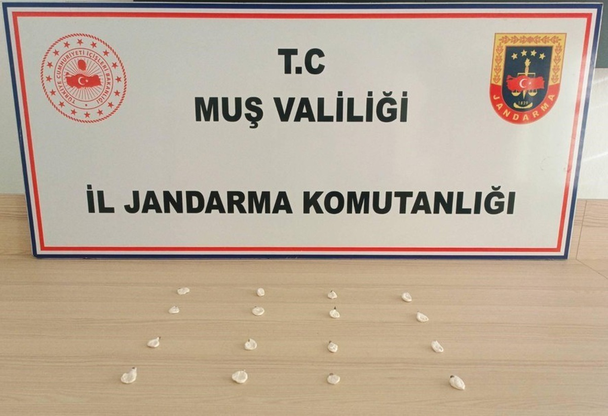 Muş'ta jandarma Eylül'de 19 narkotik olayına müdahale etti, 3 şüpheli tutuklandı