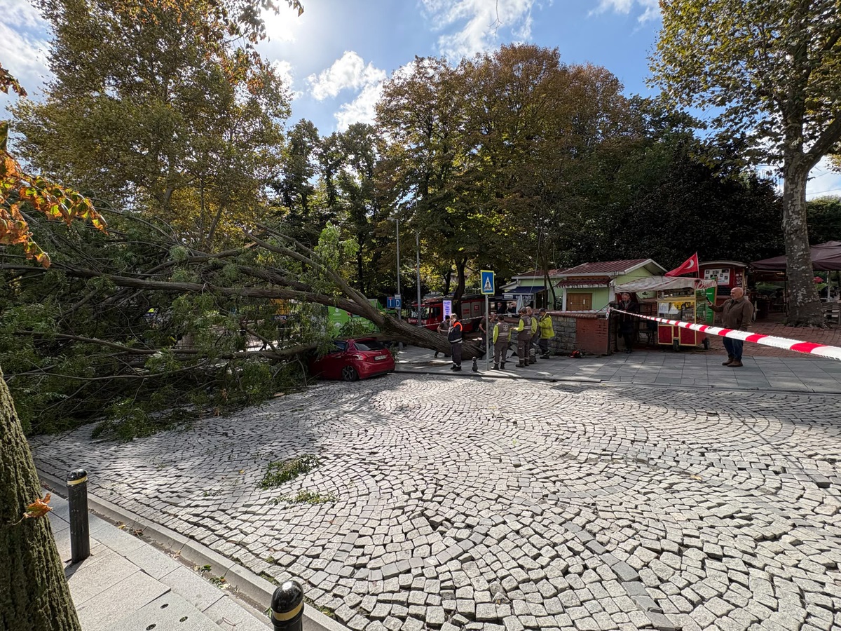 Şişli'de ağaç park halindeki otomobilin üzerine devrildi