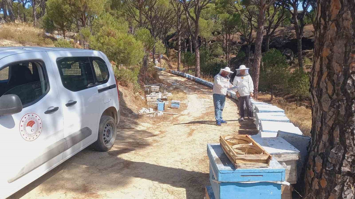 Bozdoğan'da arılı kovan desteği alacak üreticiler için tespit ve güncelleme sürüyor