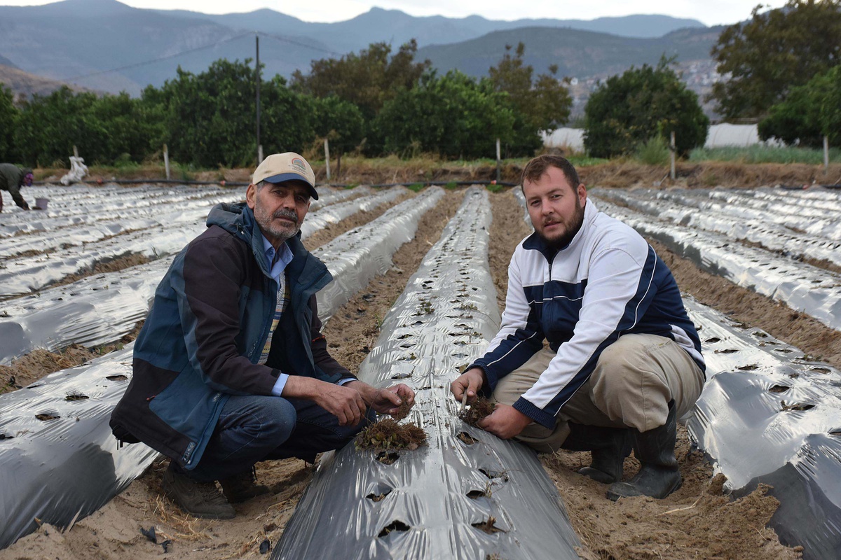 İzmir Menemen'de baba-oğul, 25 yıllık organik tarım mirasını sürdürüyor