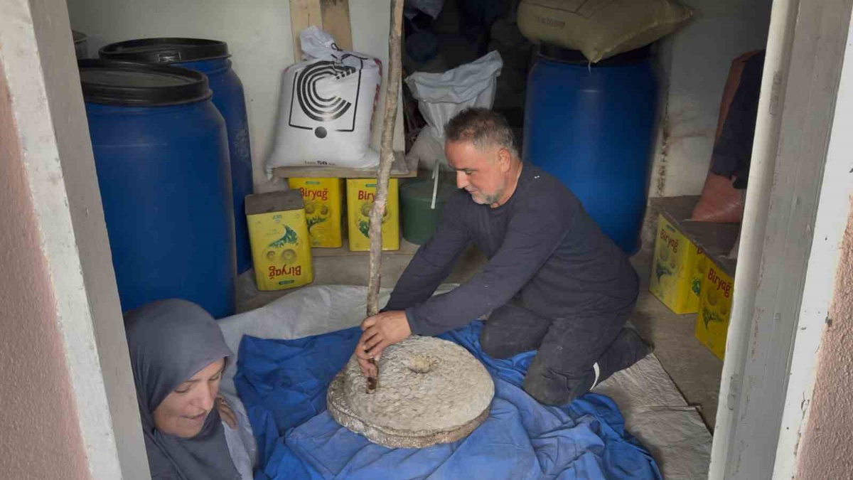 Sakarya Kaynarca'da Ceylan çifti, 90 yıllık darı geleneğini taş değirmende sürdürüyor