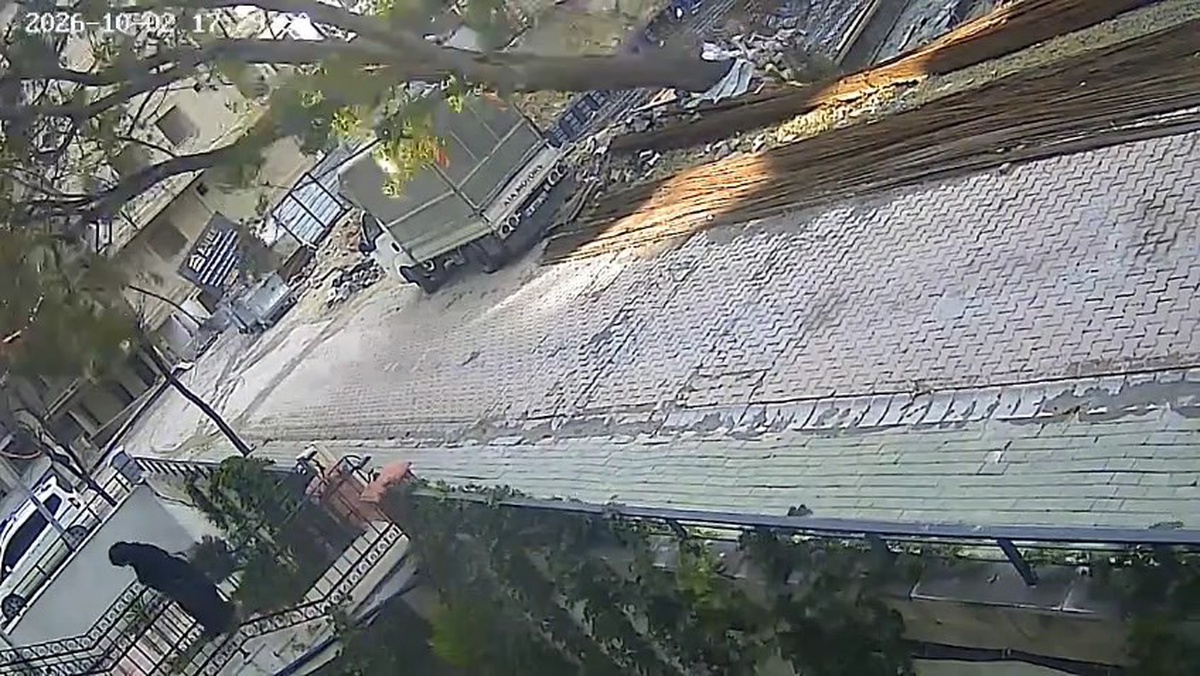Avcılar'da temel kazısında kökleri açıkta kalan ağaç devrildi! Binaya giren kadın son anda kurtuldu