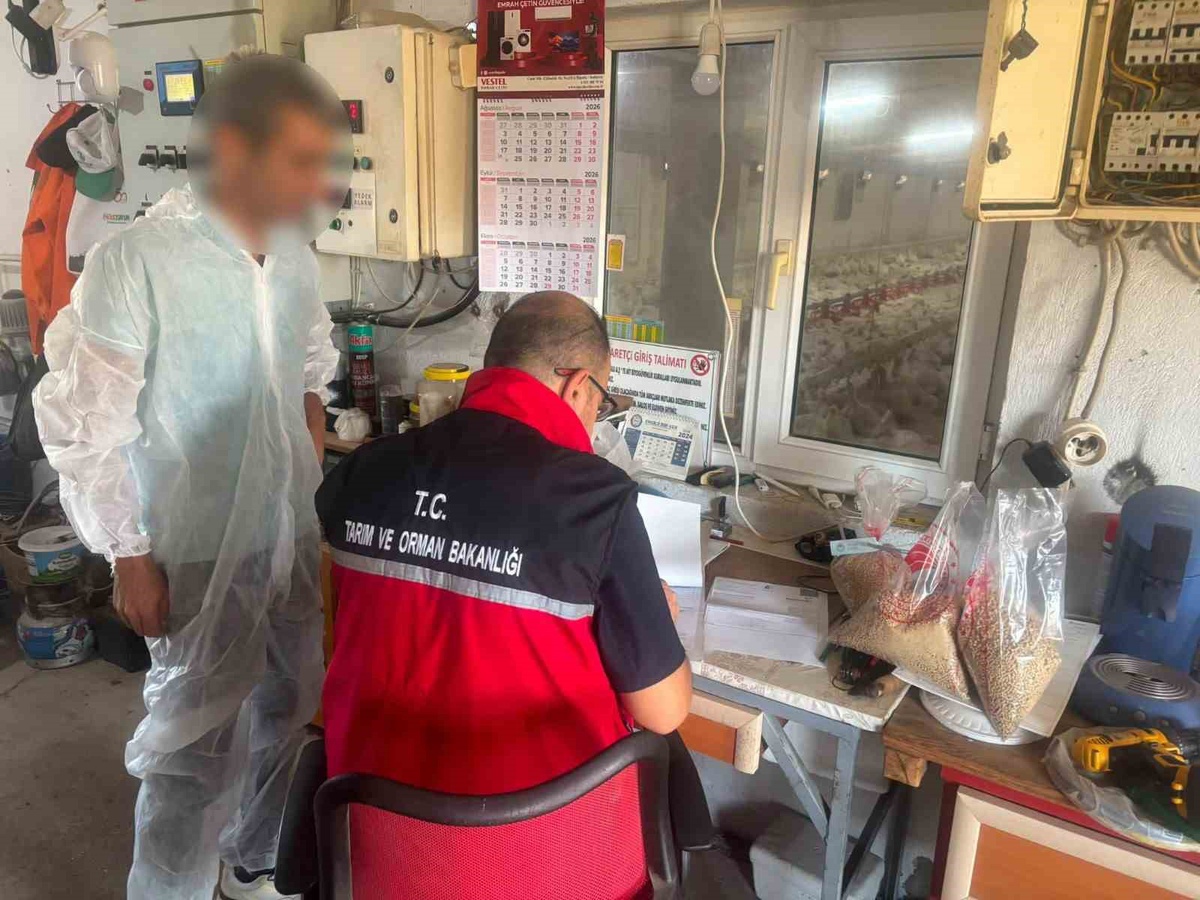 Balıkesir'de eş zamanlı yem denetiminde 97 numune laboratuvara gönderildi