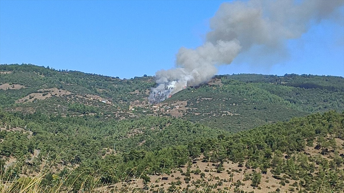 Bursa Büyükorhan'daki orman yangınına ekipler havadan ve karadan müdahale ediyor