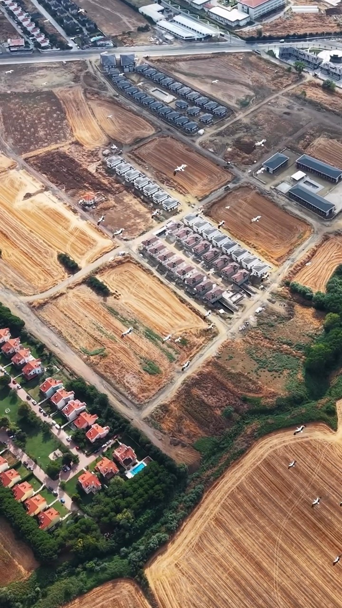 Güneye göç eden leylek sürüsü Tekirdağ semalarında dronla kaydedildi