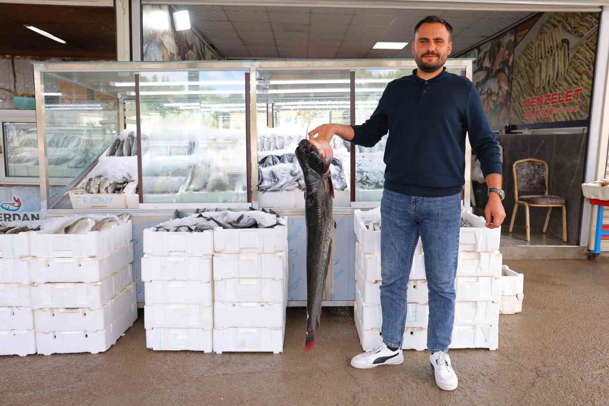 Kahramanmaraş'ta balık sezonu başladı, fiyatlar 200 ile 1000 lira arasında değişiyor