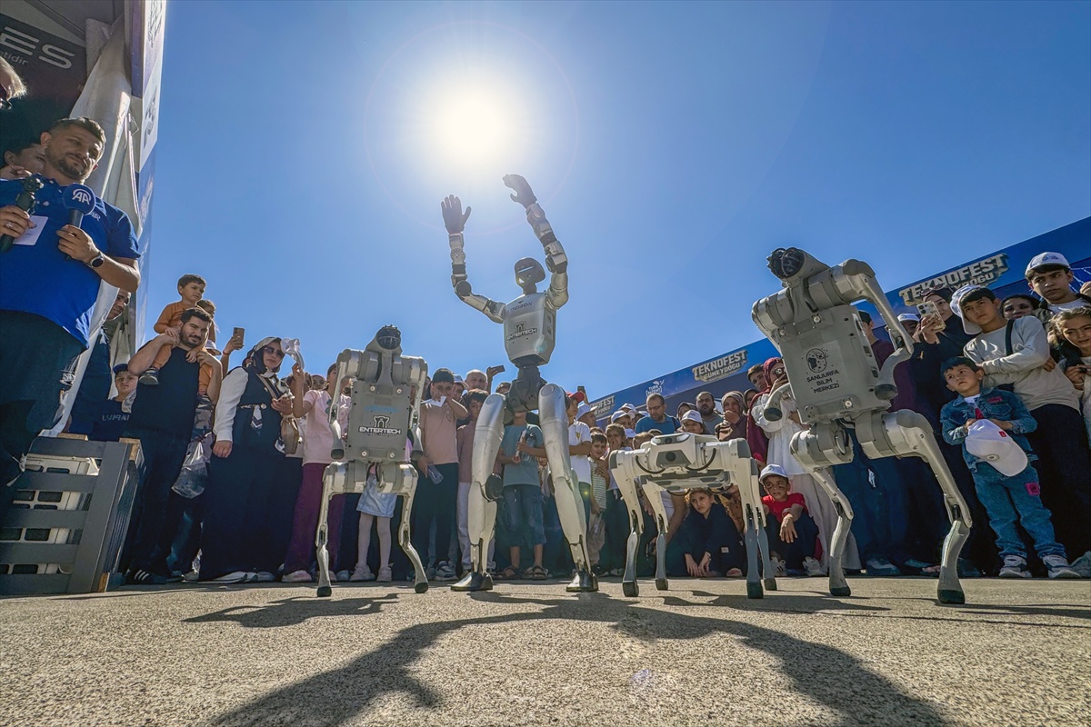 Şanlıurfa'daki TEKNOFEST Güneydoğu'nun son gününde 4 robot gösteri sundu